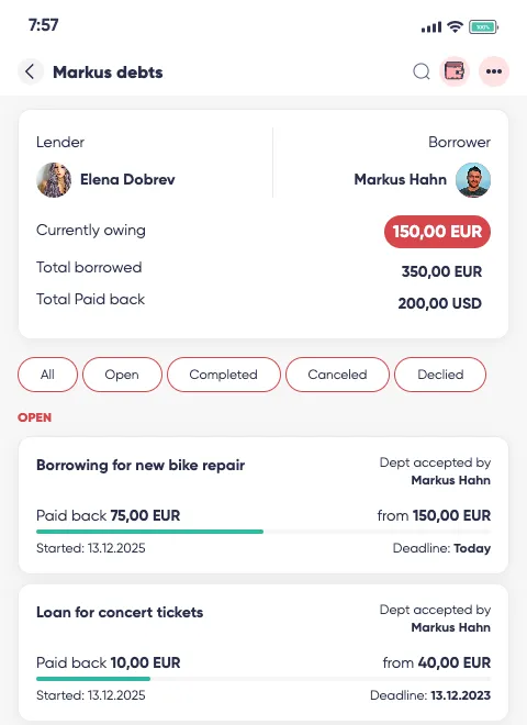Debt Ledger Preview